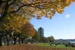 Downtown Parks, Canada Stock Photographs