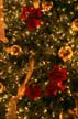 Christmas Tree, Canada Stock Photographs