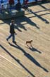 Man Dog And Their Shadows, Canada Stock Photographs