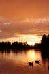 Lost Lagoon Sunset, Stanley Park