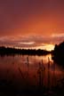 Lost Lagoon Sunset Stanley Park, Canada Stock Photographs