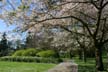 Springtime, Stanley Park