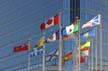 International Flags, Canada Stock Photographs