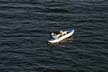 Kayaking With Dog, False Creek