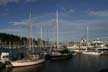Boats, Coal Harbour