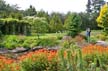 VanDusen Botanical Garden, Vancouver