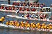 Dragon Boat Racing, False Creek