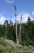 Cypress Mountain, Stock Photos