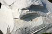 Massive White Rock, Canada Stock Photographs