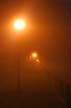 Light In The Fog, Canada Stock Photos