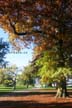 Fall Pictures, Vancouver Parks