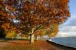 Autumn, Stanley Park