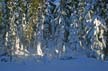 Mountain Winter, Canada Stock Photos