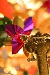Decoration, Christmas Nights