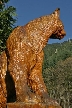 Wooden Cougar, Canada Stock Photos