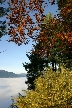 Burnaby Mountain Park Over Clouds, Canada Stock Photos