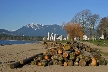 Logs At Kitsilano Beach, Canada Stock Photos