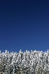 Winter Scenes, Canada Stock Photos