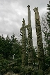 Totem Poles, Vancouver Airport