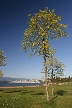 Vancouver Parks, Canada Stock Photos