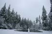 Winter Scenes, Burnaby Park